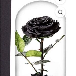 Black Preserved Rose in Glass Dome